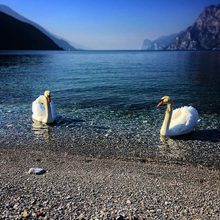 Villa Linfano Torbole Sul Garda Exterior foto